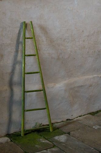 800_DSC0433.jpg 800_DSC0433.jpg