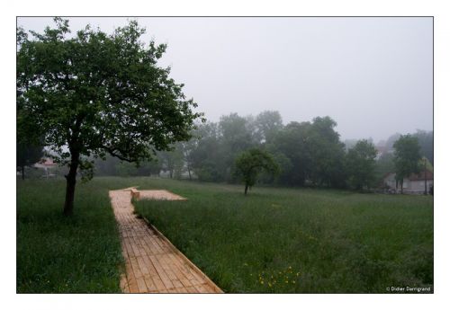 800-chemin_6736.jpg